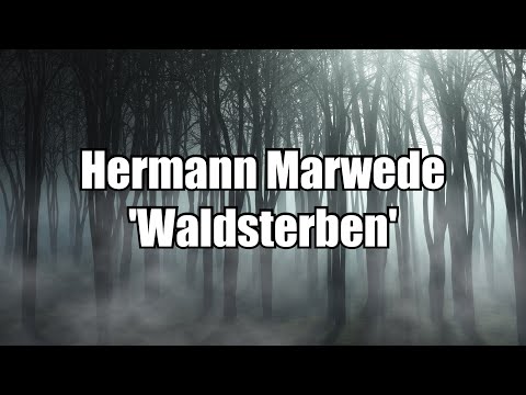 Hermann Marwede - Waldsterben (Neoclassical Piano)