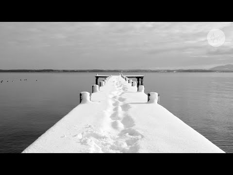 Zazenkai - Distance (Official Video)