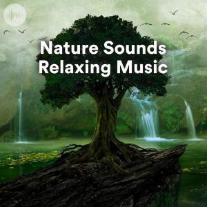 Nature Sounds Relaxing Music Spotify Playlist