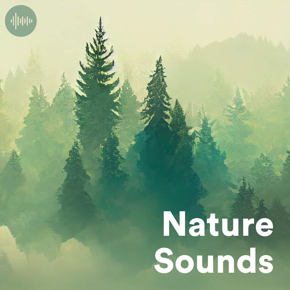 Nature Sounds Relaxing Music Apple Music Playlist 🍃 Rain Sounds, Ocean Waves, Bird Songs, Wind & Forest Noises