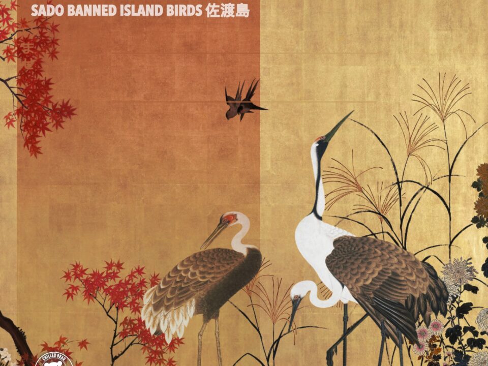 Geisha Tenderness - Sado Banned Island Birds Geisha Tenderness - Sado Banned Island Birds