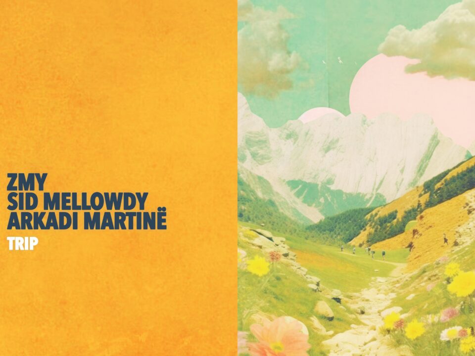 ZMY, Sid Mellowdy & Arkadi Martinë - Trip