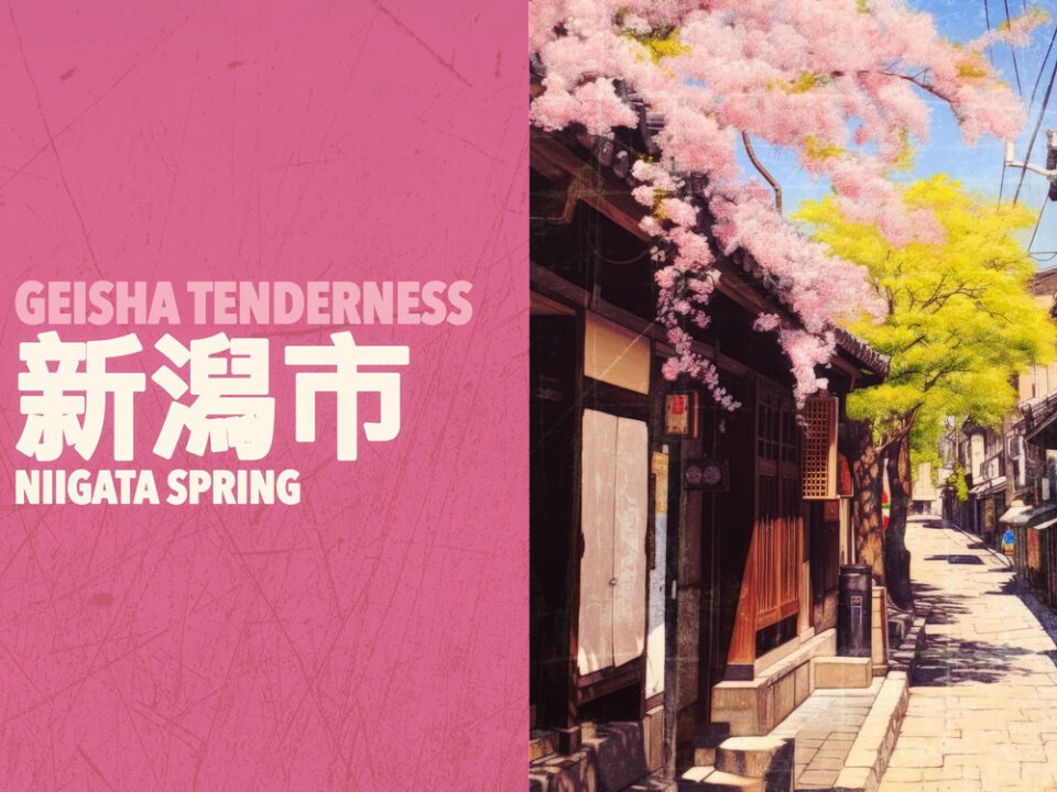 Geisha Tenderness - Niigata Spring 新潟市