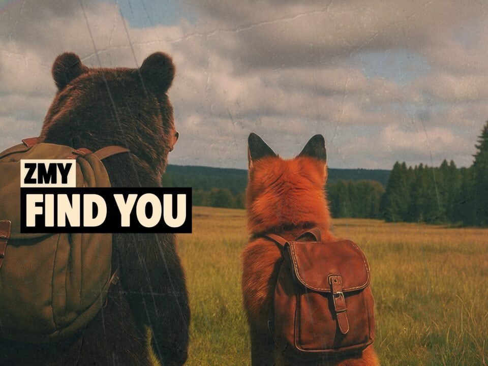 ZMY - Find You