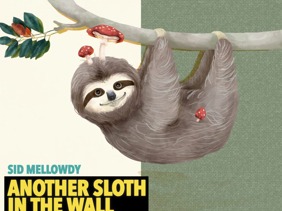 Sid Mellowdy – Another Sloth In The Wall: A Masterclass in Minimalist Chill