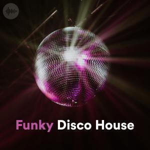 Funky Disco House - New Funky House Music 2020 Spotify Playlist