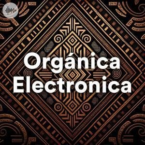 Orgánica Electronica Spotify Playlist