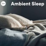 Ambient Sleep Spotify Playlist - Ambient Sounds for Sleep & Relaxation, Deep Atmospheric Background Soundcsapes Ambient Sleep Spotify Playlist - Ambient Sounds for Sleep & Relaxation, Deep Atmospheric Background Soundcsapes