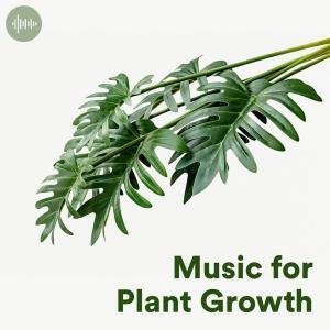 Music for Plant Growth Spotify Playlist
