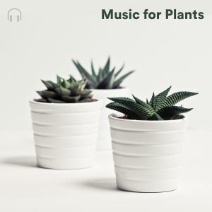 Relaxing Music for Plants Growth and Happiness Spotify Playlist