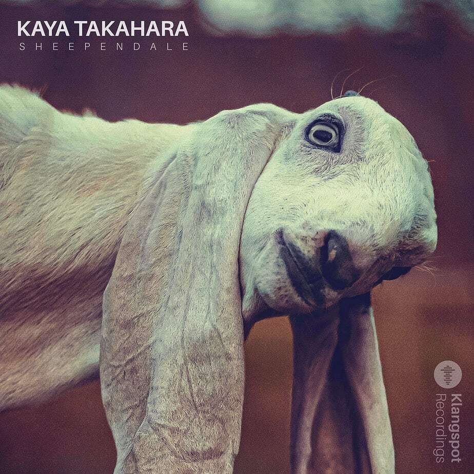 Kaya Takahara - Sheependale