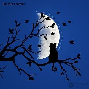 Sid Mellowdy - All Cats Are Gray In The Dark