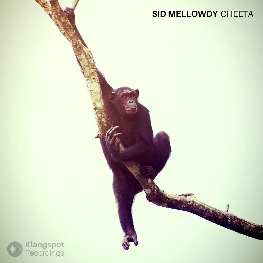 Sid Mellowdy - Cheeta