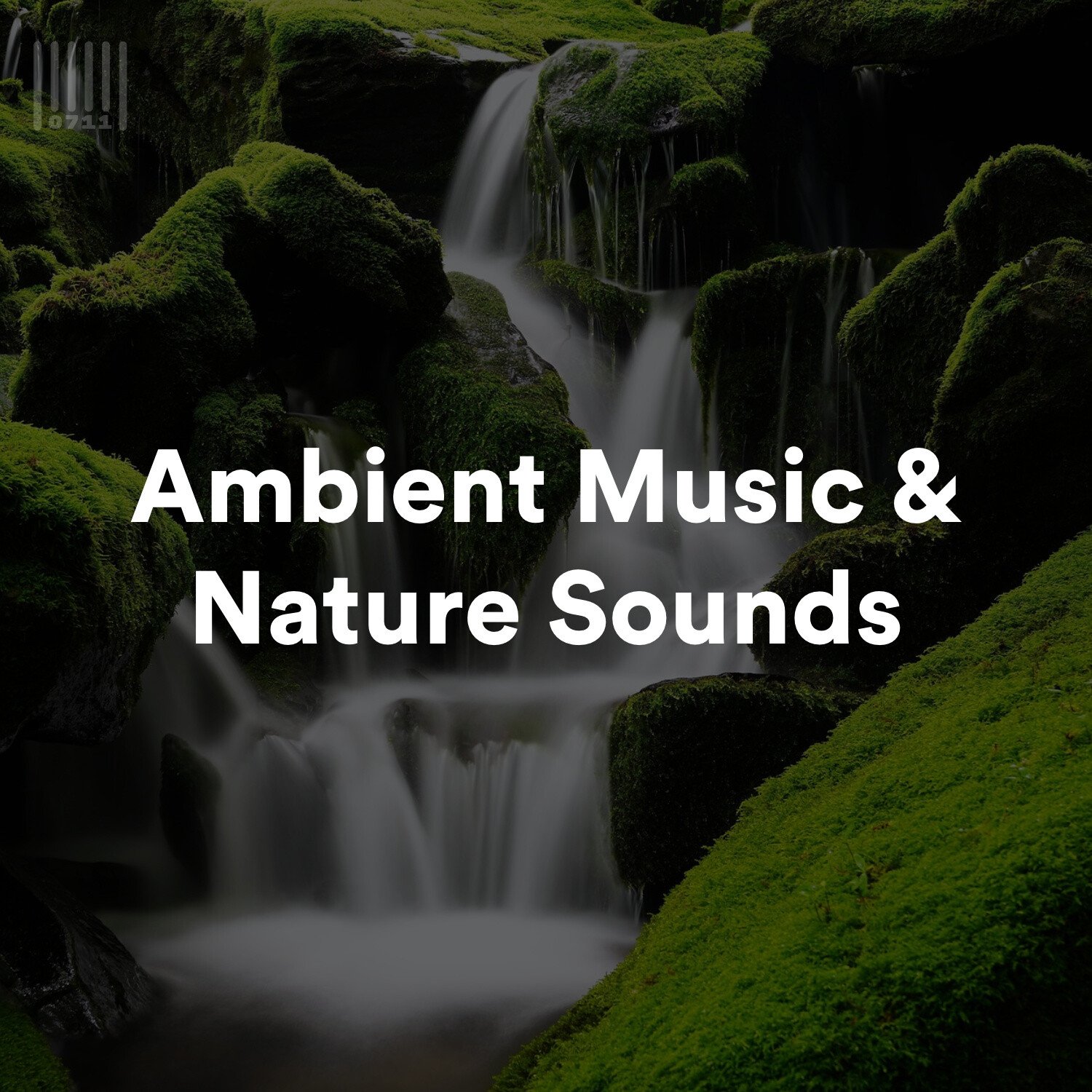 Ambient Music With Nature Sounds Spotify Playlist