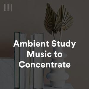 Ambient Study Music to Concentrate Spotify Playlist