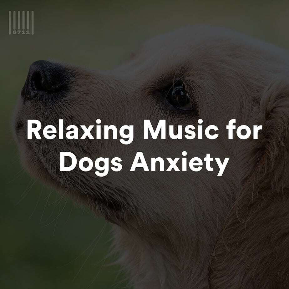 Relaxing Music for Dogs Anxiety Spotify Playlist