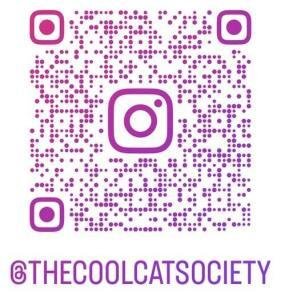 Cool Cat Society Instagram