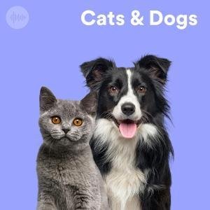 Cats & Dogs Spotify Playlist