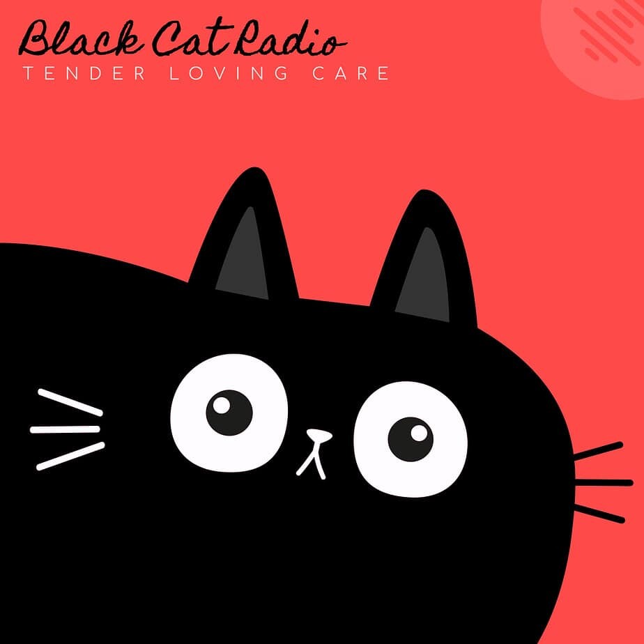 Black Cat Radio - Tender Loving Care