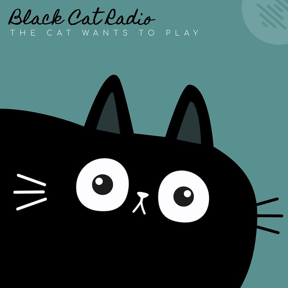 Black Cat Radio - The Cat Wants to Play