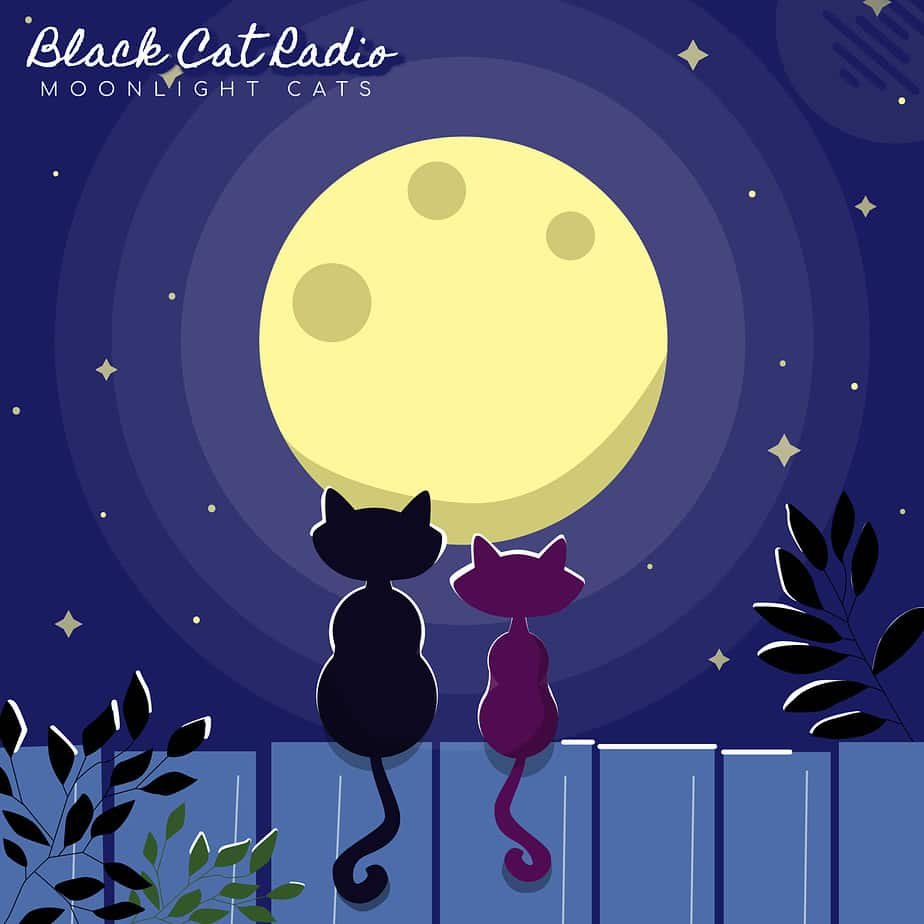 Black Cat Radio - Moonlight Cats