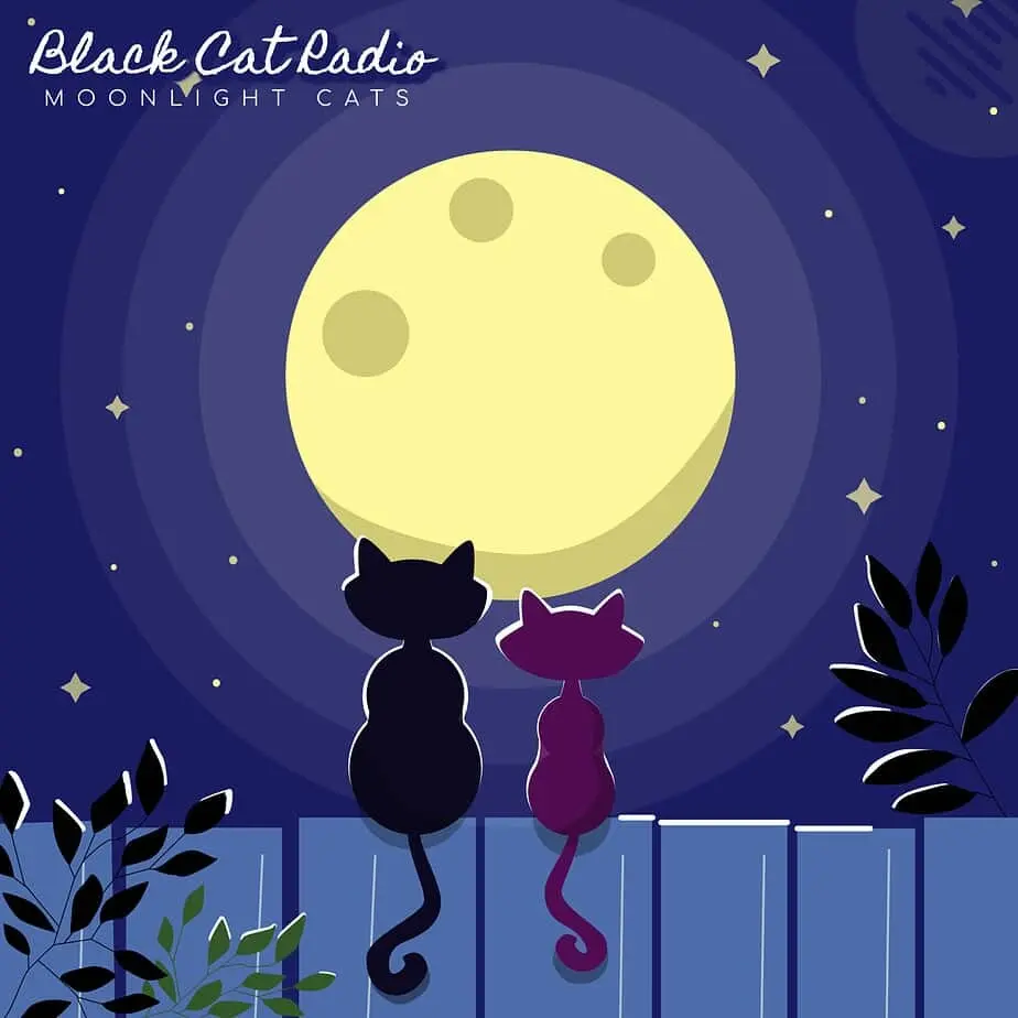 Black Cat Radio - Moonlight Cats Black Cat Radio - Moonlight Cats
