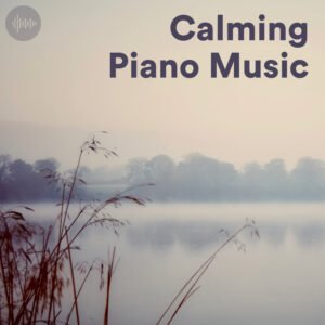 Calming Piano Music Spotify Playlist | Best Relaxing Piano Songs for Studying, Focus & Chill Out