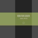 Andrej Meyer - Run for Cover