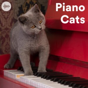 Piano Cats Spotify Playlist