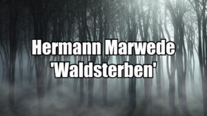 Video Thumbnail: Hermann Marwede - Waldsterben (Neoclassical Piano) -