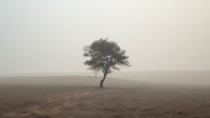 Video Thumbnail: Zazenkai - Self-Reflection (Soothing Meditation Ambient Music) -