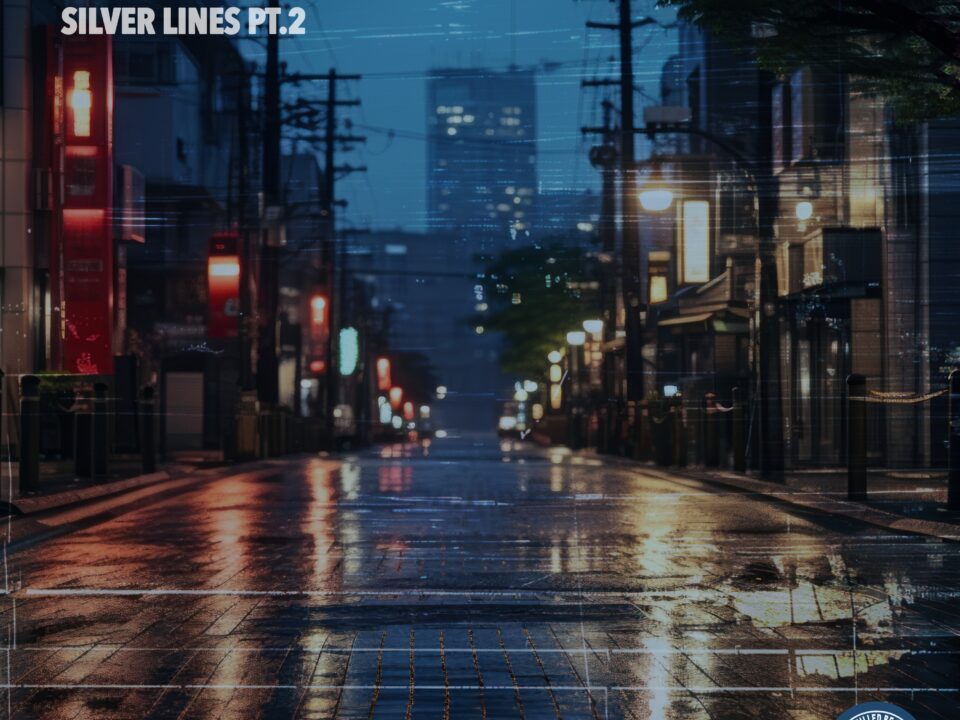 ZMY - Silver Lines Pt.2