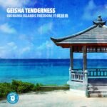 Geisha Tenderness - Okinawa Islands Freedom 沖縄諸島