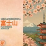 Geisha Tenderness - Fuji Burning Mountain 富士山 Geisha Tenderness - Fuji Burning Mountain 富士山