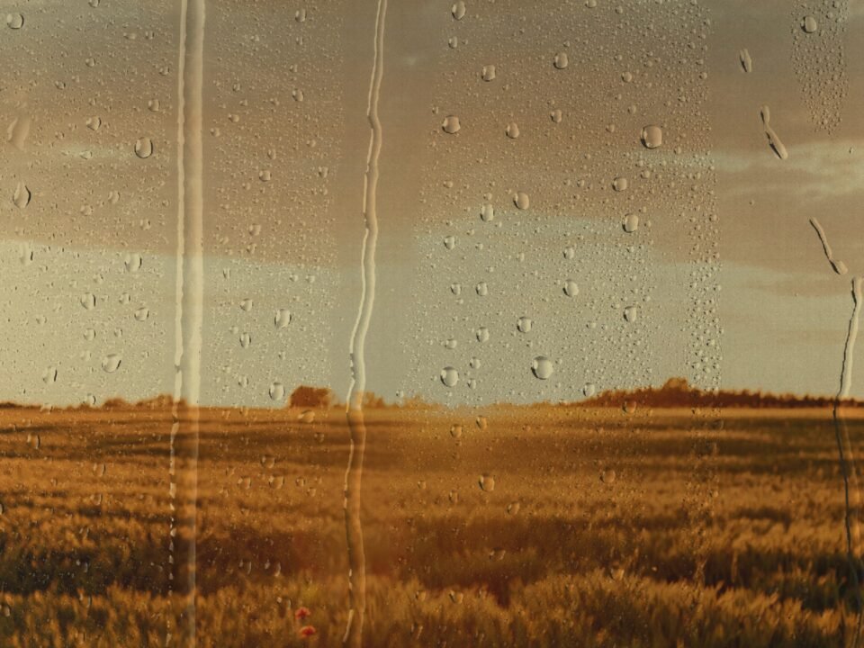 Zazenkai - Watching the Rain