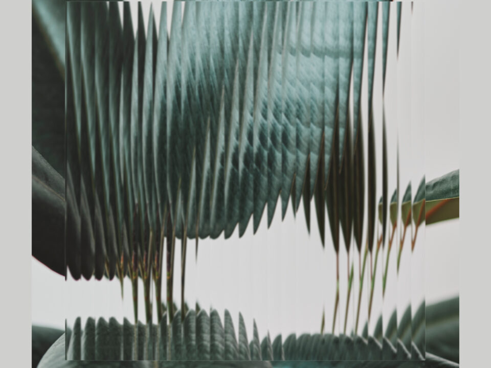 Rian Milo & Lowis Freeman – Glossy: An Organic House Oasis for Your Summer Playlist